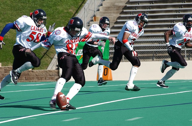 皇馬門將庫爾圖瓦的個人簡介.