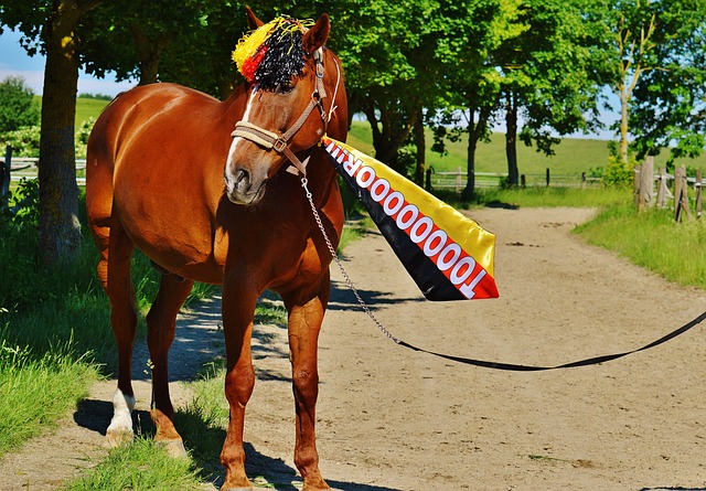 键因素在于 键因素在于