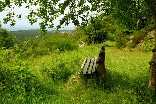 雷霆队的失 雷霆队的失