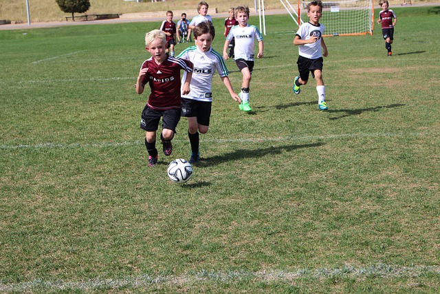 他们在领先 他们在领先