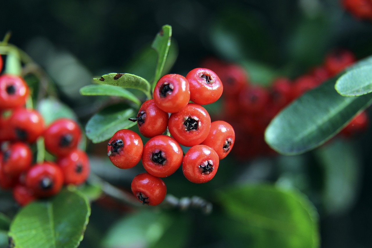 和时效性 和时效性